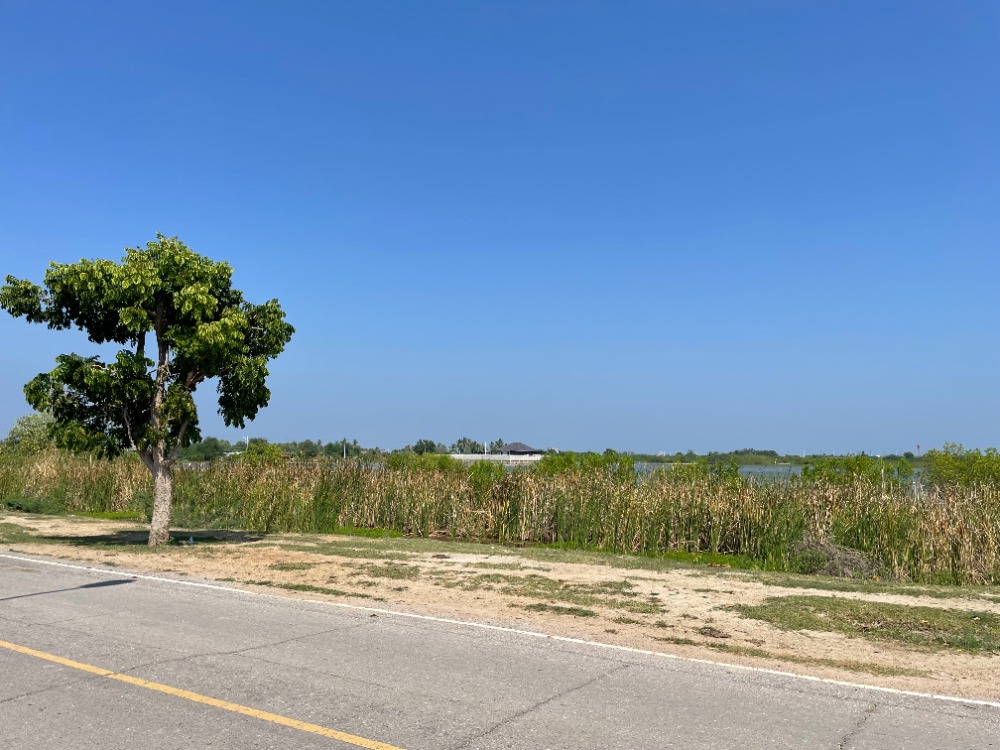 Land for sale 22 rai, Chao Samran Beach, suitable for allocating and farming. Phetchaburi Province. – รูปที่ 2