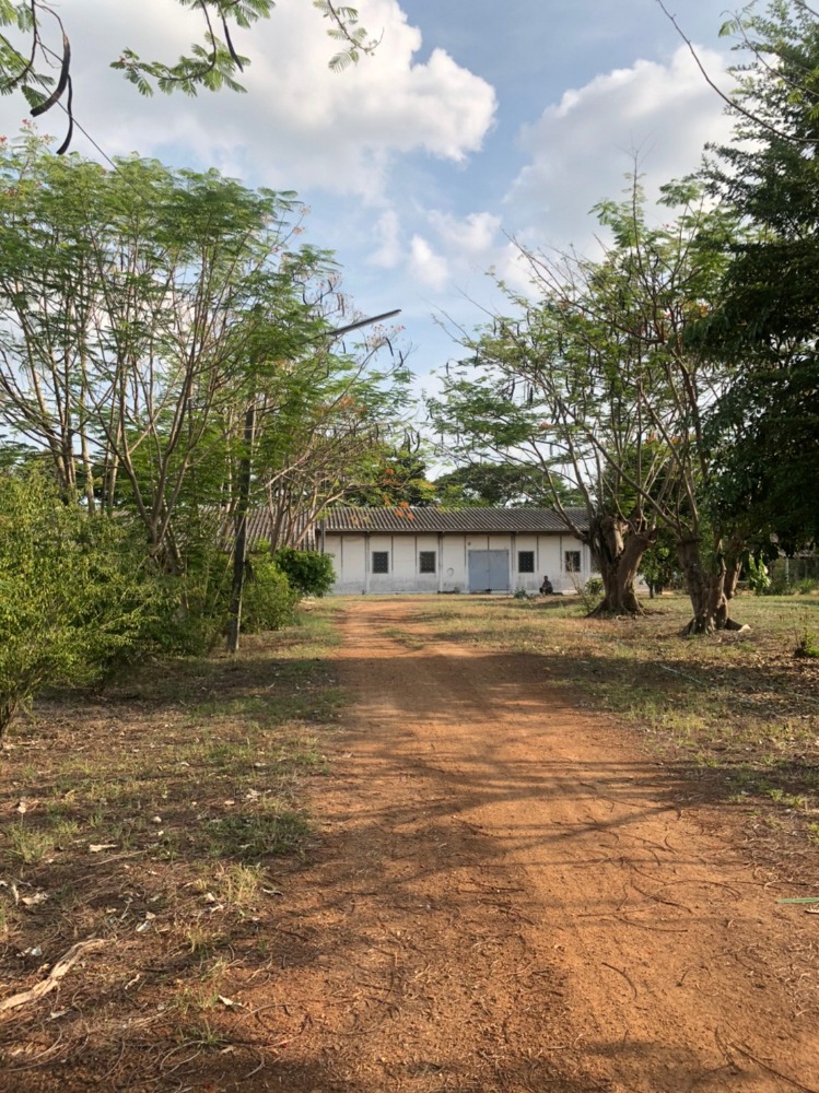 Warehouse for rent, Nong Ma Mong, Chainat Province, area 6 rai