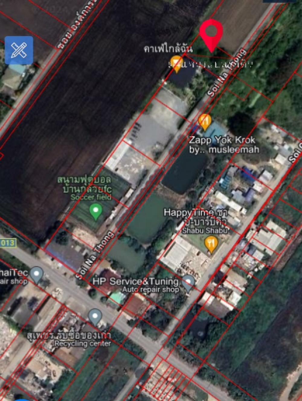 ที่ดิน วิวทุ่งนา ถนนบ้านกล้วย-ไทรน้อย ซอยนาทอง 200 ตรว. ถมแล้ว เข้าซอยแค่ 200 เมตร เหมาะปลูกบ้านสวนเกษตร   – รูปที่ 2