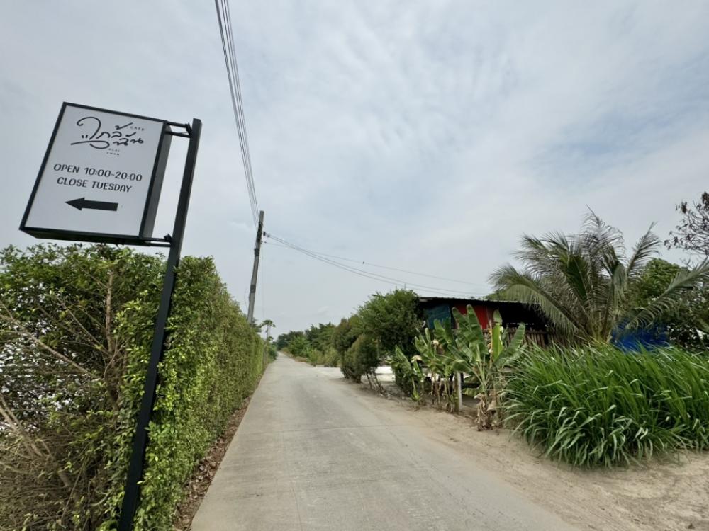 ที่ดิน วิวทุ่งนา ถนนบ้านกล้วย-ไทรน้อย ซอยนาทอง 200 ตรว. ถมแล้ว เข้าซอยแค่ 200 เมตร เหมาะปลูกบ้านสวนเกษตร   – รูปที่ 4