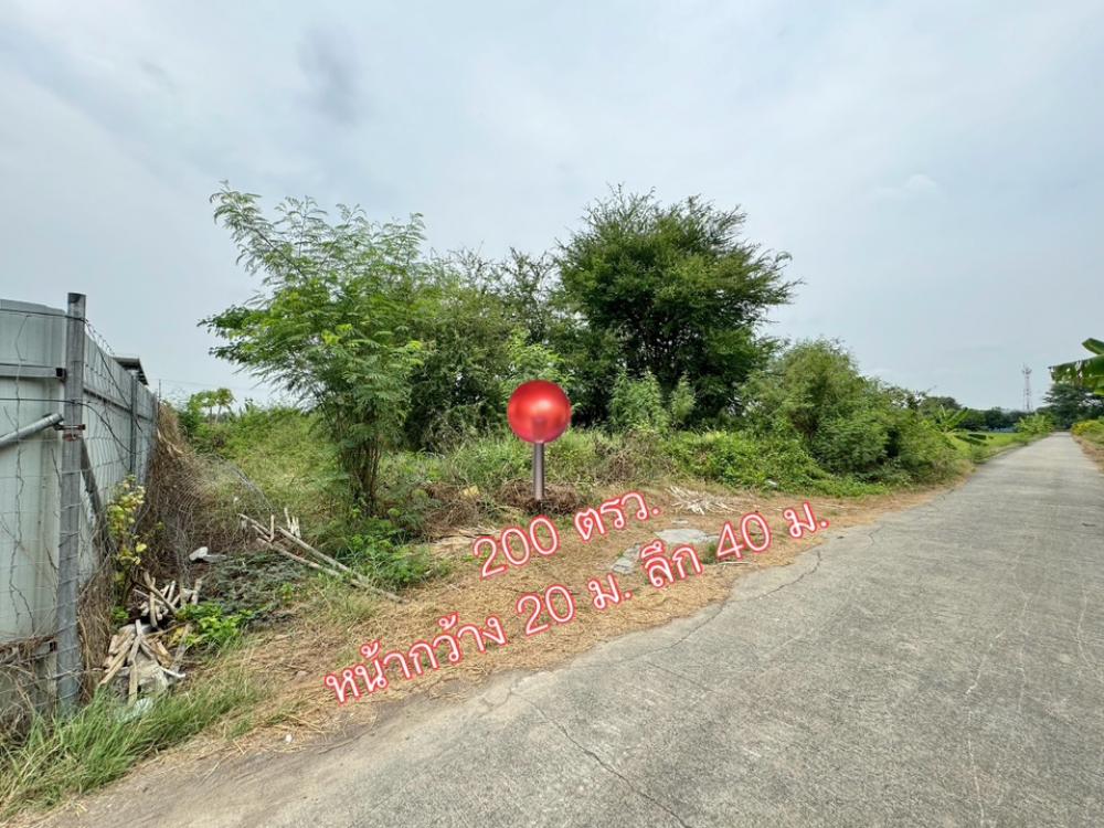 Land for sale, Baan Kluai-Sai Noi, Soi Nathong, 200 sq m., only 200 meters into the alley.