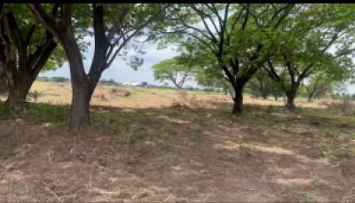 Land for sale, 14 rai, 2 ngan, 43 square wa, Khlong Hok (Khlong 7 on the west side), Khlong Luang, Pathum Thani.