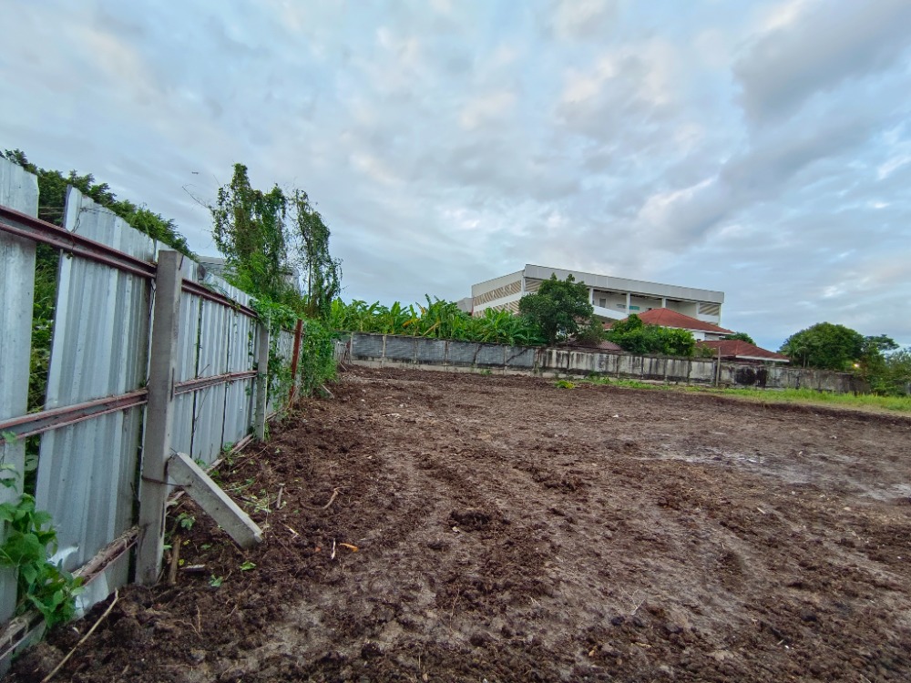 ให้เช่า ที่ดิน 2 ไร่ ซอยคลองสาม 6-7 โยธาธิการคูคต คลองหลวง ถมแล้ว เหมาะที่จะทำ ธุรกิจ การค้า ใกล้ศูนย์โตโยต้าเฟรนส์ชิป ทำเลดี คลองสาม – รูปที่ 2