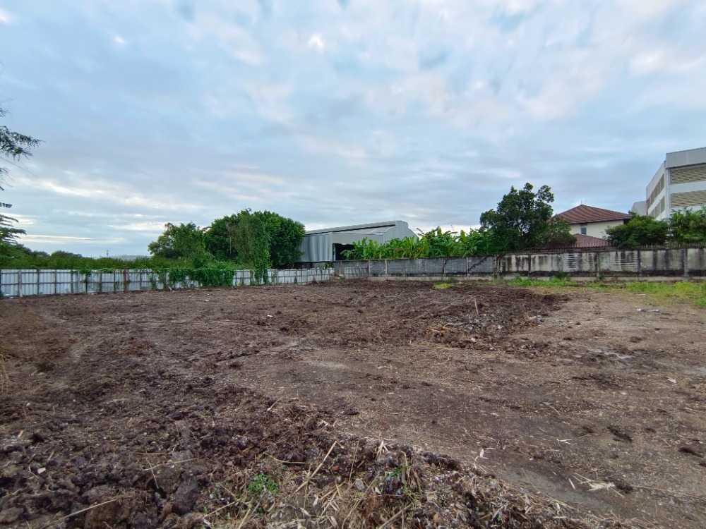 ให้เช่า ที่ดิน 2 ไร่ ซอยคลองสาม 6-7 โยธาธิการคูคต คลองหลวง ถมแล้ว เหมาะที่จะทำ ธุรกิจ การค้า ใกล้ศูนย์โตโยต้าเฟรนส์ชิป ทำเลดี คลองสาม – รูปที่ 4