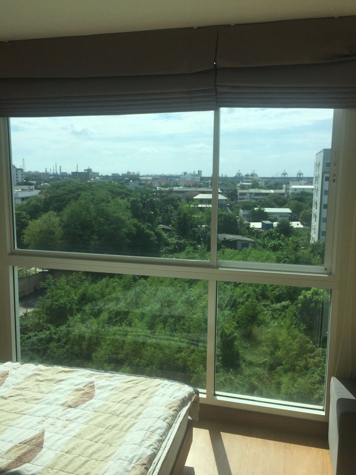 ขายคอนโด ทรี คอนโด ลักซ์ สุขุมวิท 52 (Tree Condo Luxe Sukhumvit 52) – รูปที่ 2