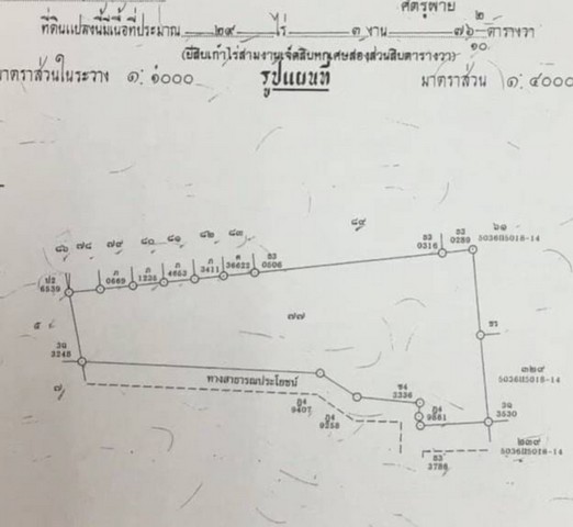 ขายที่ดินพุทธมณฑลสาย 2 ขนาด 33 ไร่ ซ.โรงเรียน วัดบุญยประดิษฐ์ เหมาะสำหรับโครงการ – รูปที่ 2
