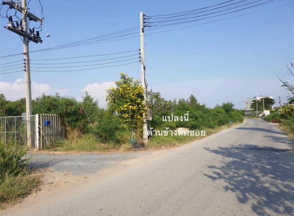 Land for sale on Malai Man Road 0863377287 – รูปที่ 3