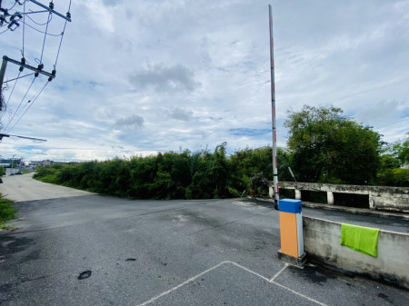 ขาย ที่ดิน พื้นที่สีม่วง บางบอน ซอยเอกชัย 76-1 เนื้อที่ 1 ไร่ 3 งาน 24.3 ตร.วา ถมแล้ว – รูปที่ 2