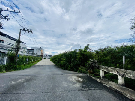 ขาย ที่ดิน พื้นที่สีม่วง บางบอน ซอยเอกชัย 76-1 เนื้อที่ 1 ไร่ 3 งาน 24.3 ตร.วา ถมแล้ว – รูปที่ 4