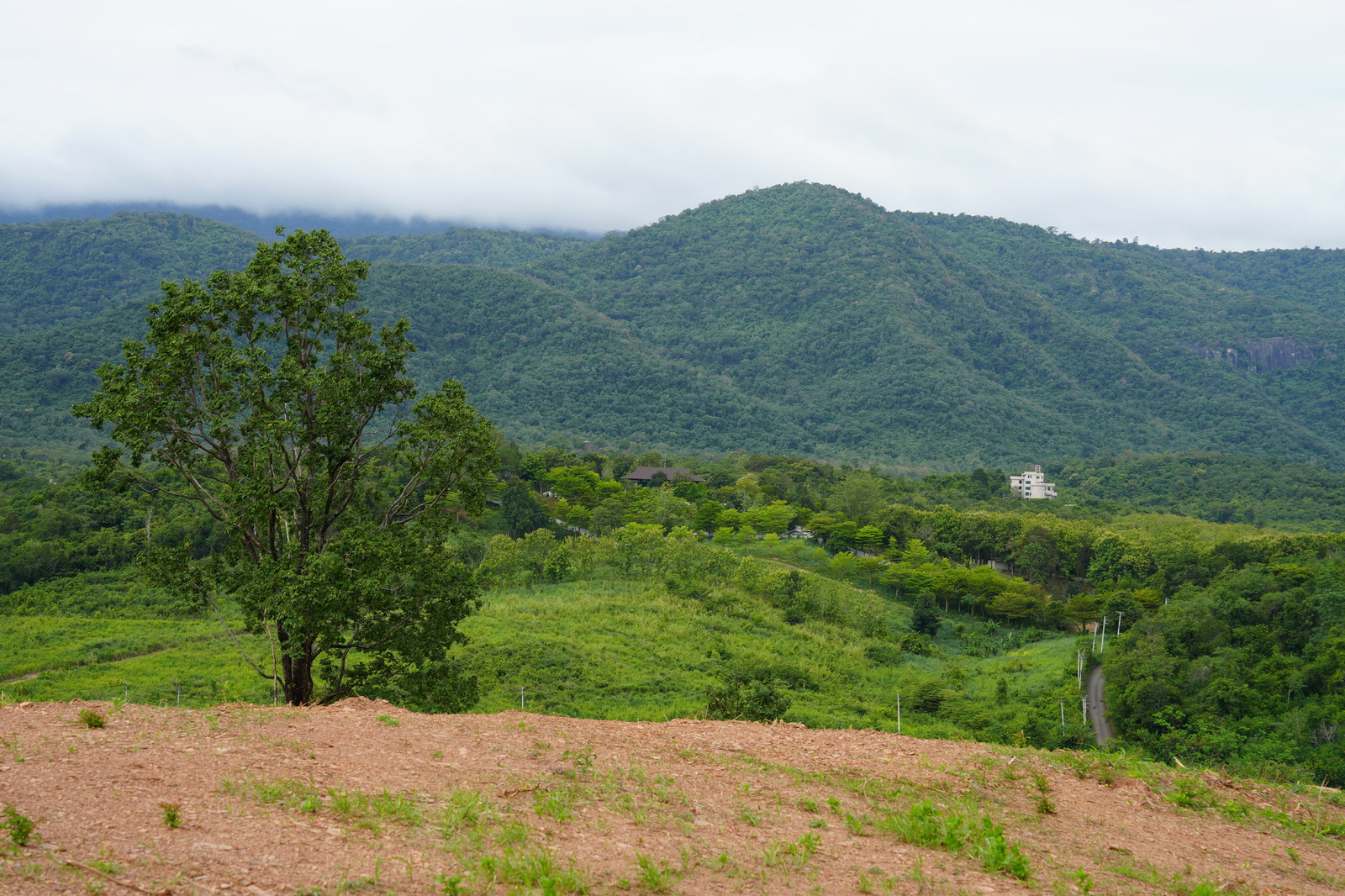 ⛰️วิวเขาใหญ่ 360° ที่ดินเป็นเนินสูง 41 ไร่ ใกล้อินเตอร์คอนฯ,ทอสคาน่า เวิลด์พีซ วัลเล่ย์ , สวอนเลค เป็นเนินเขาสูง ไล่ระดับ เหมาะทำพูลวิลล่า โรงแรม รีสอร์ท ที่ต้องการเห็นวิวเขาใหญ่แบบใกล้ๆ