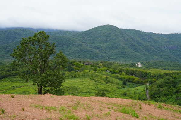 ⛰️วิวเขาใหญ่ 360° ที่ดินเป็นเนินสูง 41 ไร่ ใกล้อินเตอร์คอนฯ,ทอสคาน่า เวิลด์พีซ วัลเล่ย์ , สวอนเลค เป็นเนินเขาสูง ไล่ระดับ เหมาะทำพูลวิลล่า โรงแรม รีสอร์ท ที่ต้องการเห็นวิวเขาใหญ่แบบใกล้ๆ