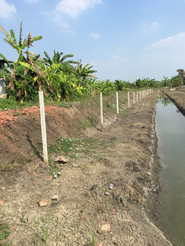 Land for sale, Ban Don Khanak, Soi 5, Nakhon Pathom, 5-0-0 Rai, near Christian University