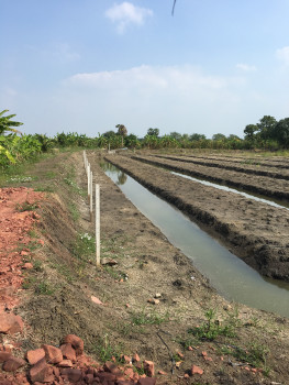 ขาย ที่ดิน บ้านดอนขนาก ซอย 5 นครปฐม 5-0-0 ไร่ ใกล้ มหาวิทยาลัยคริสเตียน – รูปที่ 2