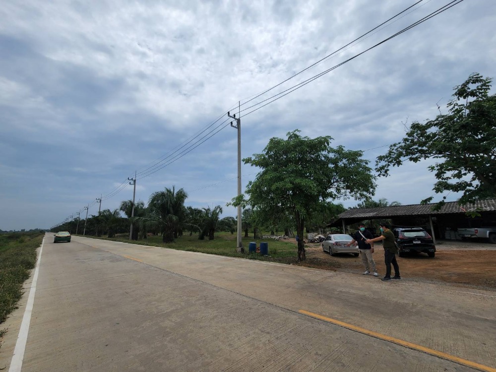 ขายที่ดิน ถมแล้ว 79 ไร่ ติดถนนสุวินทวงค์ ใกล้กทม.นิดเดียว – รูปที่ 2